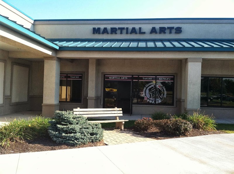 The Chinese Martial Arts Academy image 2