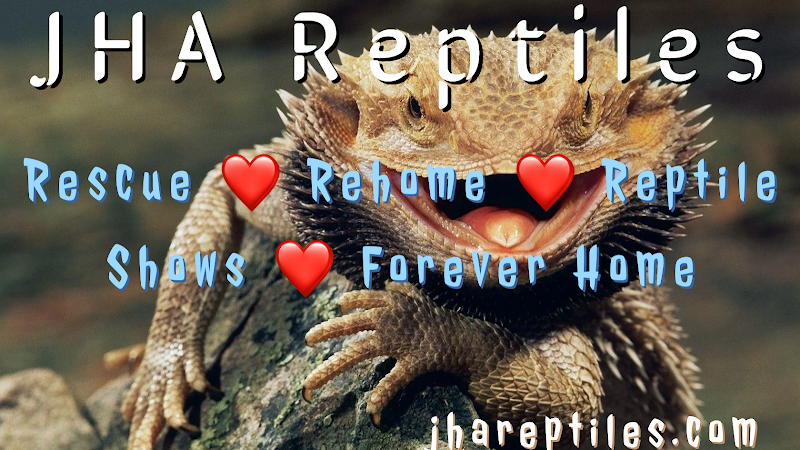 JHA Reptiles image 5