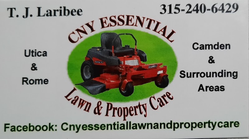 Cny Essential Lawn and Property Care image 1