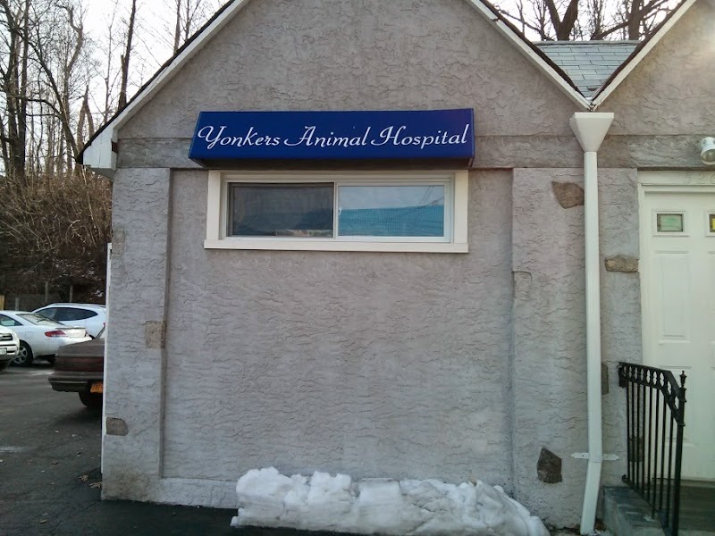 Yonkers Animal Hospital image 4