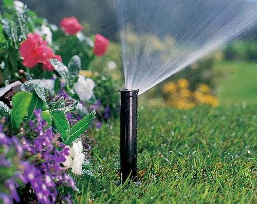 RPM Sprinklers (Mike Pallotta) image 6